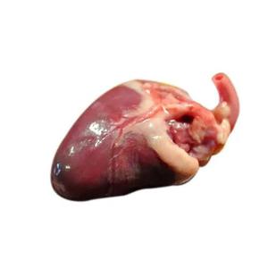 Cœurs de poulet surgelés BQF de qualité supérieure, grade A, vente en gros, durée de conservation de 24 mois, pour hôtels, restaurants, traiteurs et importateurs mondiaux - Product Image 4