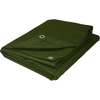Bâche en toile imperméable avec œillets antirouille, bâches robustes pour camion, toit, agriculture, fourgonnette, extérieur, élevage de volailles