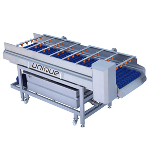 Machine à brosser les légumes racineurs en acier inoxydable 304, idéale pour le lavage des légumes racineurs tels que… - Product Image 4