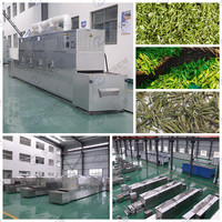 Sécheur à micro-ondes pour haricots rouges et champignons, prix d'usine, fabricant chinois, sécheur à micro-ondes pour aliments et herbes