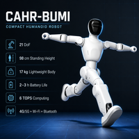 Jouets électroniques personnalisables, compagnon intelligent, moteur à reconnaissance visuelle CAHR-Bumi PLC 36V 200W, engrenage, autonomie de la batterie efficace