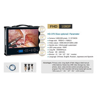 Cámara de Endoscopia Integrada HD de 24 Pulgadas y 1200p para Cirugía Laparoscópica