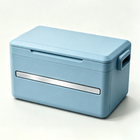 Nieuwe Design 42L Geïsoleerde PP Schuim Outdoor Camping Opvouwbare Koelboxen Met Handgrepen