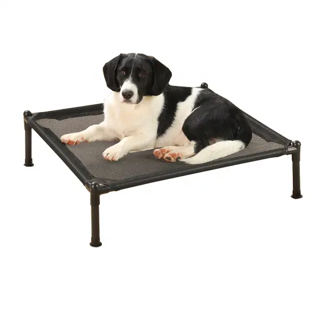Disesuaikan portabel berkemah mengangkat tempat tidur hewan peliharaan ditinggikan tempat tidur anjing untuk anjing besar
