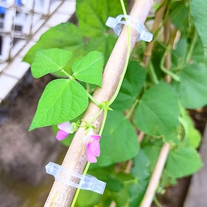 50 clips/saco para soporte de plantas, para tomate, verduras y enredaderas de jardín, para que crezcan rectos y las plantas se sientan más saludables, clip para atar. - Product Image 1