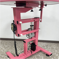 Table de toilettage pour animaux de compagnie à hauteur réglable électriquement, station de toilettage professionnelle pour chiens et chats, pour la maison, le salon, la clinique