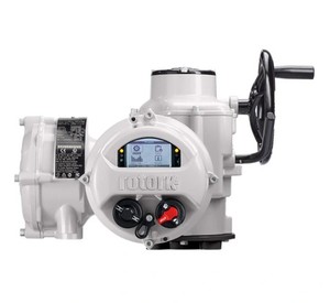 WIQ81208 IQ2 MOD 20J Kit de fenêtre avec indicateur de position d'actionneur pour inspection industrielle de plastiques, pièce de rechange - Product Image 6