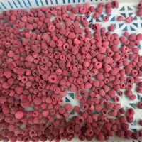 Topkwaliteit IQF diepvries frambozen, zoete smaak, hele vruchten, geconserveerd in siroop, bulk export uit China.