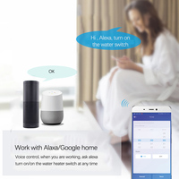 Sonoff — chauffe-eau Wifi intelligent Ewelink, chaudière à eau, WiFi, panneau tactile, application Ewelink, télécommande vocale, minuterie, fonctionne en extérieur, alexa