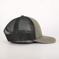 Sombrero de camionero marrón ceniza de 6 paneles con logotipo personalizado Gorra de malla deportiva de moda de calle con ala curvada ligera Tela común de estilo exterior