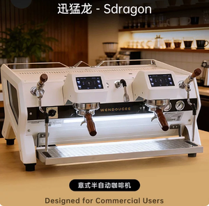 เครื่องชงกาแฟเอสเพรสโซแบบสองหม้อต้ม SDRAGON-SAT รุ่น Wendougee 4800W สำหรับร้านกาแฟมืออาชีพ - Product Image 3