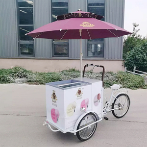フレッシュノーアイスクリーム三輪車/バイクジェラートカート販売用自転車冷凍庫付き