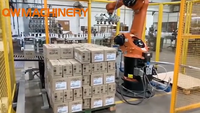 Le vide d'air de robot de palletisation de KUKA aspire le carton d'aspiration