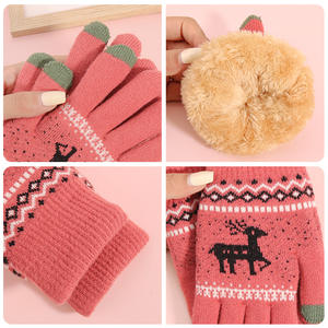 Kadın kış dokunmatik ekran eldiveni kore durak polar astarlı kalınlaşmış soğuk geçirmez jakarlı su geçirmez Fawn yün sıcak örme - Product Image 4