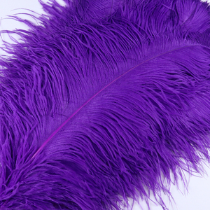 Tiges épaisses en vrac mariage fleur stands blanc artisanat <span class=keywords><strong>60</strong></span>-65 <span class=keywords><strong>cm</strong></span> grande couleur plume <span class=keywords><strong>d</strong></span>'<span class=keywords><strong>autruche</strong></span> pour mur Art mariage carnaval <span class=keywords><strong>d</strong></span>écor - Product Image 5