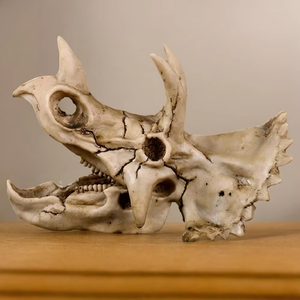Triceratops resina para calavera SKD06 decoración de escritorio de animales de moda para oficina o Artesanías de resina de Halloween - Product Image 1