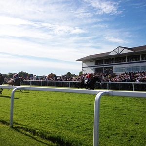 Clôture en PVC authentique Steeplechase complète avec remplisseurs de <span class=keywords><strong>brosse</strong></span> réalistes pour la pratique du saut de cross-country - Product Image 6