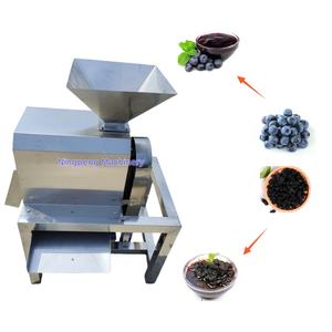 Extracteur de pulpe de fruit de palmier pour jus, extracteur de pulpe de citron sec, machine à pulper la pâte de tomate, marque NP - Product Image 1