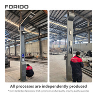 Poteau d'éclairage intelligent personnalisé en usine avec chargeur, caméra WIFI CCTV, lampadaire 5G IoT, éclairage extérieur pour projets paysagers