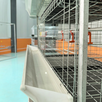 Cage à poulets de chair de type H, galvanisée à chaud, 3/4 niveaux, 2 portes, équipement de batterie, conception dimensionnelle pour l'élevage avicole en ferme