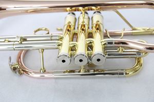 <span class=keywords><strong>Cornet</strong></span> en laiton plat doré laqué pour joueur, instrument de musique avec étui de <span class=keywords><strong>cornet</strong></span> de qualité et prix abordable, disponible à la vente (OEM) - Product Image 4