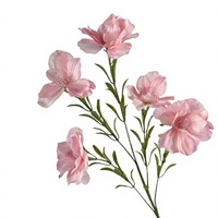 Kunstzijde Anemoon Bloemen 5-koppige Bloemtakken Handgemaakt Natuurlijke Aanraking voor Bruiloft Huisdecoratie Scène Arrangement