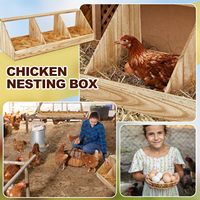 Pondoir en Bois à 3 Compartiments pour Poules, Accessoire de Poulailler avec Collecte d'Œufs
