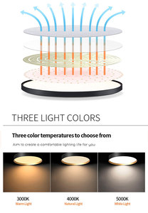 卡萨80W 100W 120W可调达利 - Product Image 6