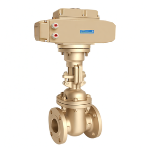 Válvula de Compuerta Manual Multivuelta COVNA de Hierro Fundido de 1 Pulgada con Brida ANSI, 150LB de Presión, 220V CA, con Ventana de 90 Días - Product Image 5