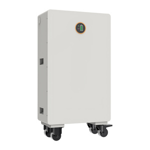 Pin Lithium 2026 Mẫu Mới Nhất 51.2V-100AH 200AH 300AH 5KWH 10KWH 15KWH 16KWH CÓ SẴN, Giao Hàng Nhanh - Product Image 1