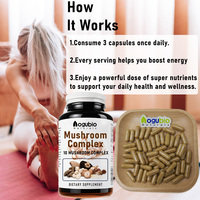 Hot verkopende voedingsmiddelkwaliteit Maitake-extract 10:1 Grifola Frondosa vruchtlichaam natuurlijk puur Maitake-paddenstoelenextract poeder