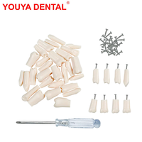 Modelo Anatómico de Dientes Dentales de 28/32 Piezas, Dientes de Repuesto para Práctica de Técnico Dental, Modelos Nissin / Modelo de Cabeza para Simulador Dental