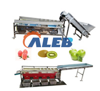 Eenvoudig Te Bedienen Fruitmaatsorteermachine Te Koop