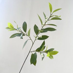 Nouvelle Arrivée Everbloom Feuilles Artificielles de Fagraea Ceilanica en Latex, <span class=keywords><strong>Jasmin</strong></span> Africain 80cm, Écologiques pour Mariages et Événements - Product Image 5