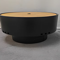 Brasero moderne autoportant de grande qualité en acier inoxydable, sans fumée, pour brûler du bois, portable, pour le camping en plein air, barbecue
