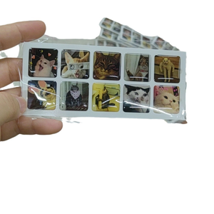 Tùy Chỉnh <span class=keywords><strong>3D</strong></span> Rõ Ràng Bóng <span class=keywords><strong>PVC</strong></span> Epoxy Dán Nhựa Không Thấm Nước Dome Nhãn Logo Vật Liệu Vật Nuôi Dính Đề can Cho Xây Dựng Thương Hiệu Trang Trí - Product Image 5