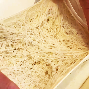 Proveedor chino levadura seca instantánea activa en polvo 500g 450g 400g 125g 100G 90g 12g 11g 10g 5g para masa de pan fermentación rápida - Product Image 4