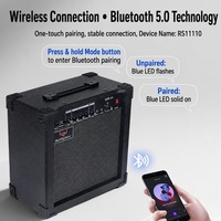 Amplificateur de basse électrique EARTHGRACE DB-30 30W, haut-parleur 8 pouces, amplificateur combo pour la pratique de la basse, les répétitions et les petites scènes