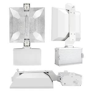 Großhandel Garten Gewächs häuser 1000 Watt HPS Grow Light Digitales Vor schalt gerät 0-10V für 400V DE Lampe