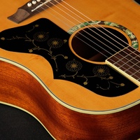 Plaque de protection en celluloïd motif pissenlit pour guitare acoustique 40/41 pouces, instrument de musique