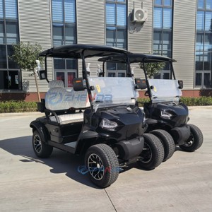 Carrito de golf eléctrico todoterreno de 2 plazas, homologado para circular por la calle, con batería de litio, personalizado para resort, hotel o campo de golf. - Product Image 6