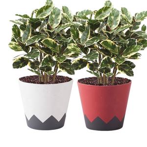 Macetas <span class=keywords><strong>de</strong></span> plástico artificiales para el hogar, maceta <span class=keywords><strong>de</strong></span> macetas <span class=keywords><strong>de</strong></span> estilo nórdico, ideal para balcón y el hogar - Product Image 2