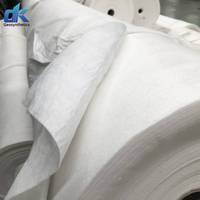 Non tissé Geo Textile aiguille perforée géotextile filtre polyester géotextile tissu 100-1000gsm géotextile non tissé géotextile