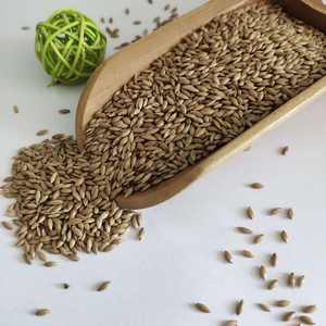 Bulkprijs Vink Vogelvoer 25Kg Groot Pakket Kanariezaad Voor Groene Vinken - Product Image 3