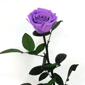 Rosas de tallo largo preservadas reales Eternity Infinity Forever Roses <span class=keywords><strong>Rosa</strong></span> <span class=keywords><strong>eterna</strong></span> de larga duración con tallo para decoración del hogar de bodas - Product Image 4
