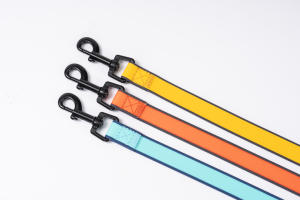 Penjualan langsung tali anjing tahan air dapat disesuaikan kalung hewan peliharaan tahan lama dari produsen kalung Hewan Peliharaan Terbaik - Product Image 6