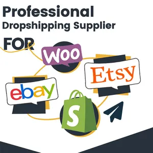 2024 Professional Dropshipping Agent With Sameday Order Fulfillment Services For Winning Products Sourcing