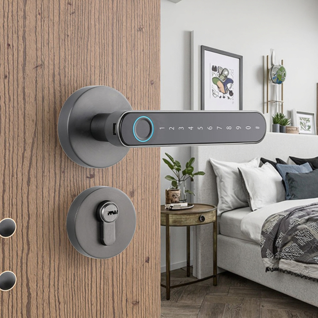 Qleung S604L Tuya BLE Biometric Fingerprint Digital Lock Password Keyless Entry Door Knobs Lock Smart Handle Lock
