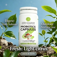 Complément alimentaire digestif à base de plantes anti-ballonnements avec probiotiques pour un ventre plat et la réduction de la graisse viscérale