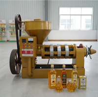 Máquina Prensa de Aceite para Semillas de Cacahuete, Soja y Girasol con Control de Temperatura YZYX140WK, Suministro Directo de Fábrica para Exportación